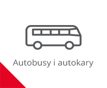Buses